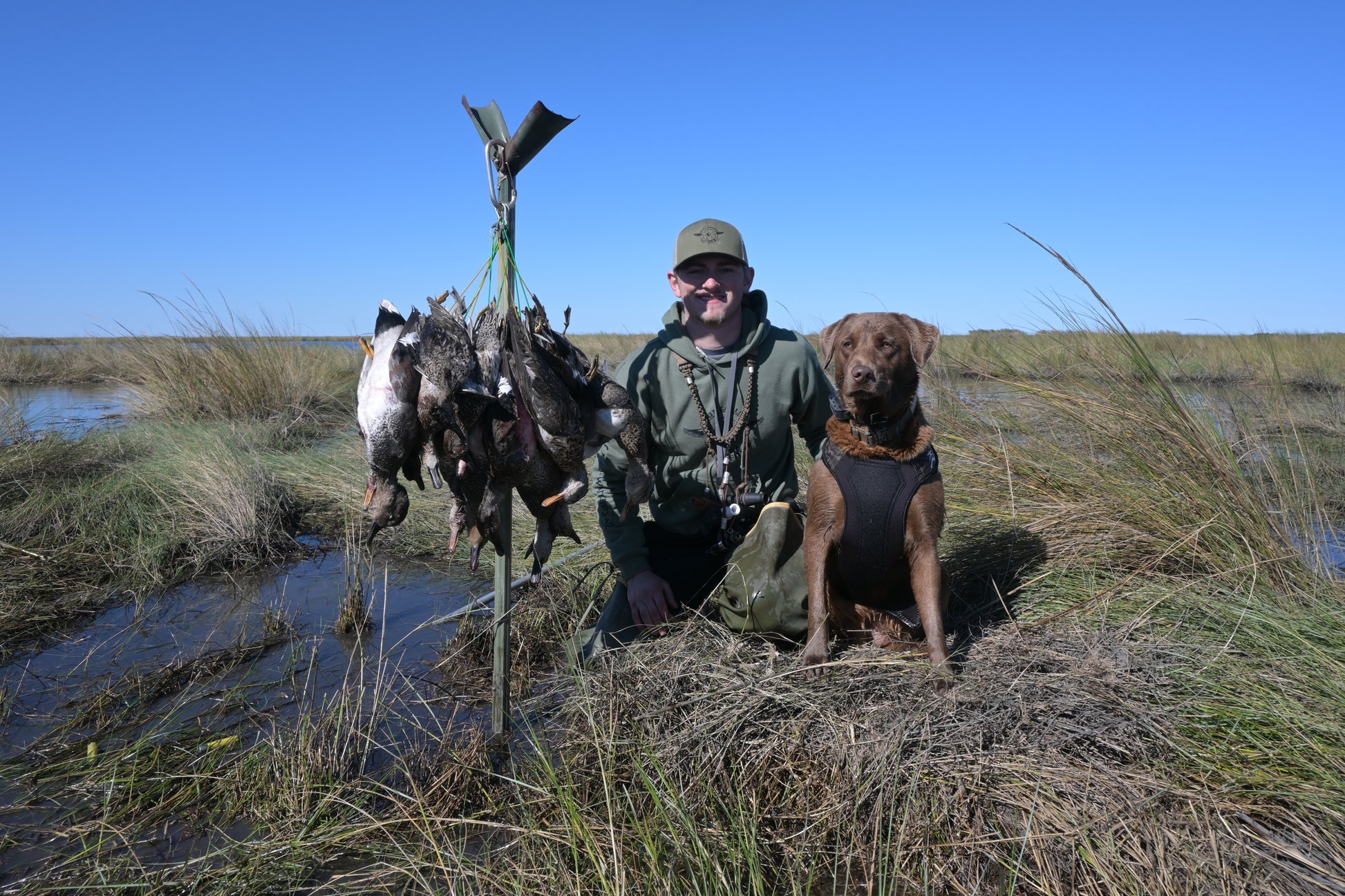 Branded Sleeve Hoodie
